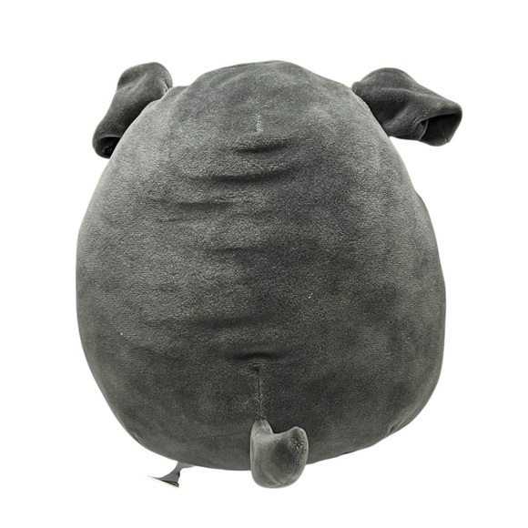 Squishmallow Bongo The Black Pug - 8” - NO TAG - Picture 5 of 5